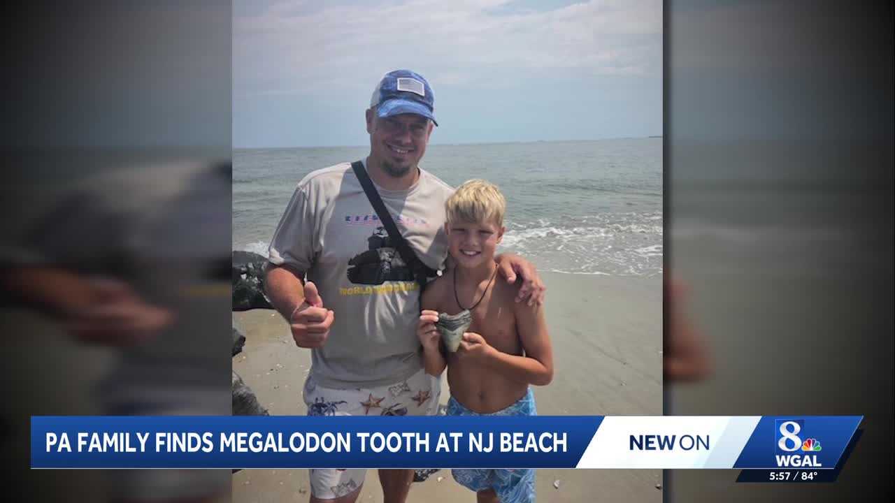 Rare, intact megalodon tooth found along New Jersey beach — WESH 2 Orlando